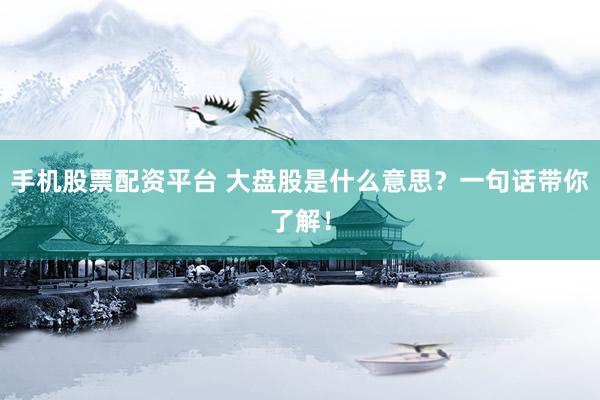 手机股票配资平台 大盘股是什么意思？一句话带你了解！