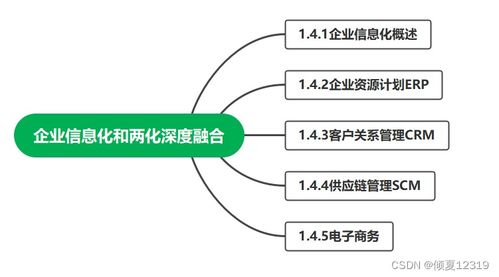 系统集成项目管理工程师 第1章 信息化知识